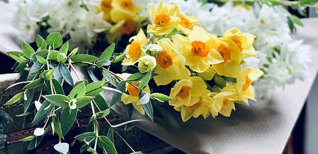 Lucie Mason Flowers Simply Daffodils